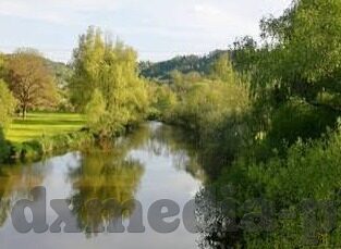 日韩欧美麻豆91-芜菁平台的多元文化魅力，日韩、欧美的艺术视角交汇